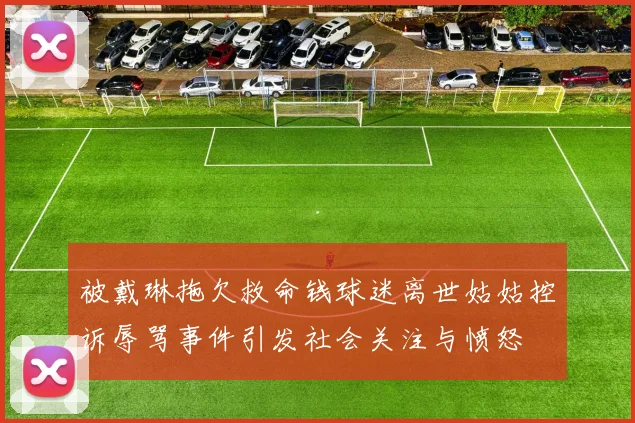 被戴琳拖欠救命钱球迷离世姑姑控诉辱骂事件引发社会关注与愤怒